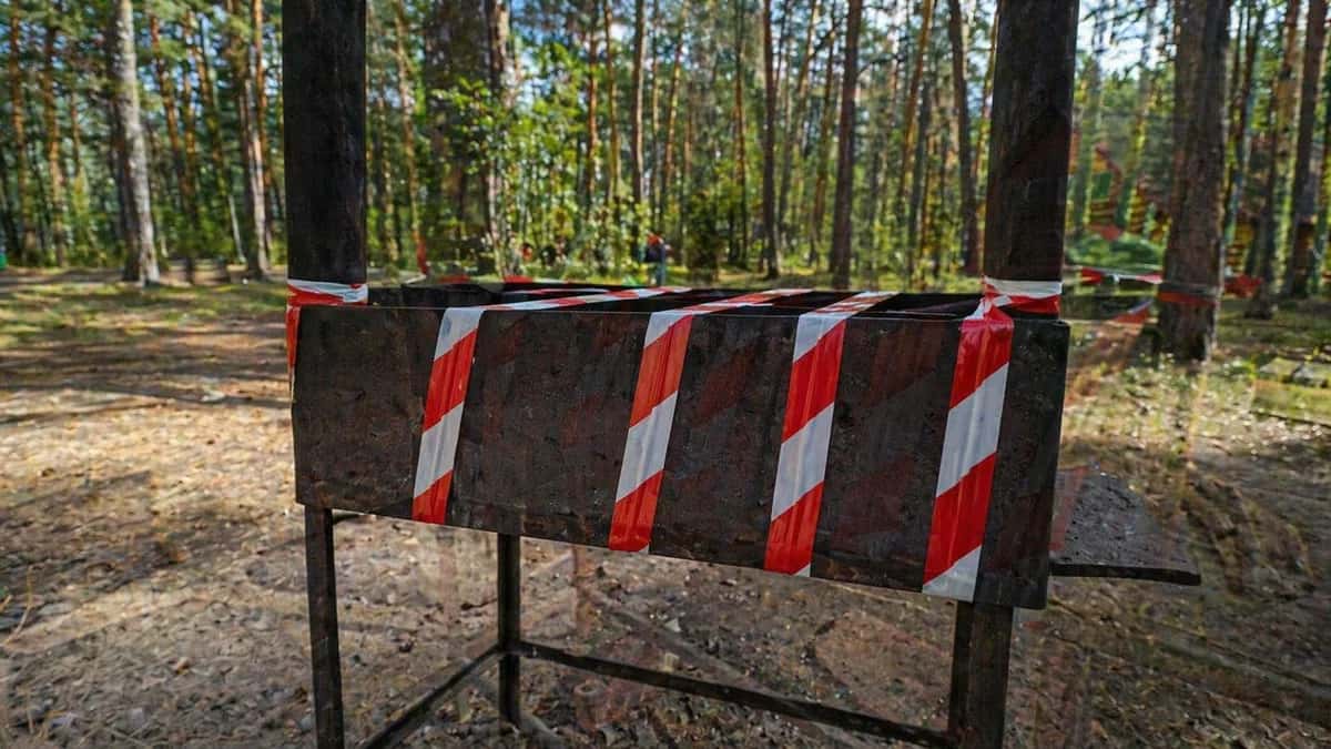 Дрон-шпион Россельхознадзора нашёл свалку отходов на лесных складах под Первоуральском — предприятиям выписали предписания