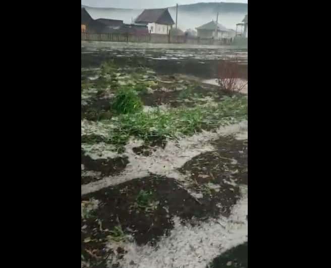 В Кузино град побил посевы и повредил теплицы