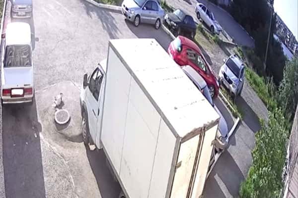 В Первоуральске с балкона седьмого этажа выпала собака