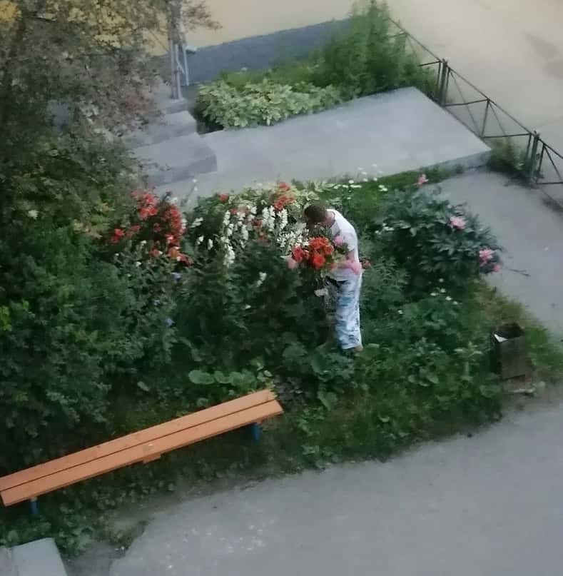 Первоуралец нарвал цветы в палисаднике и стал героем интернета 
