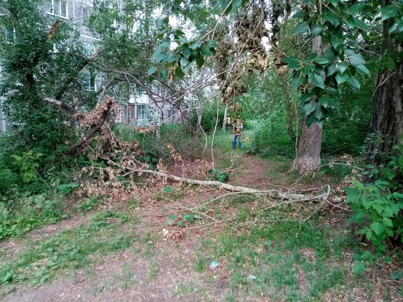 Жители Первоуральска жалуются на неухоженные дворы 