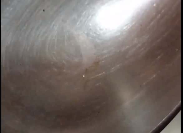 Первоуральцев напугала живность в водопроводной воде 