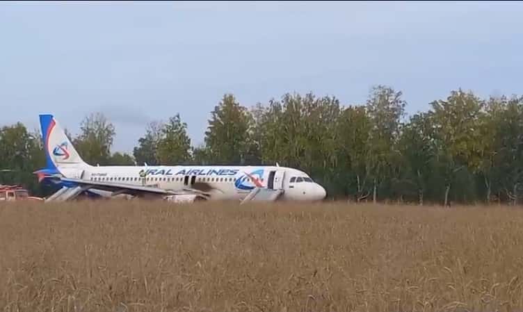 Самолёт «Уральских авиалиний» сел в поле под Новосибирском