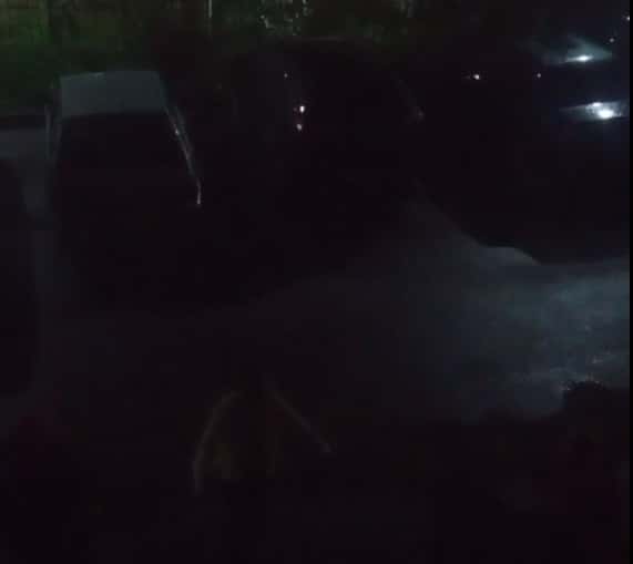 Жители Первоуральска жалуются на пьяную компанию, мешающую спать по ночам 