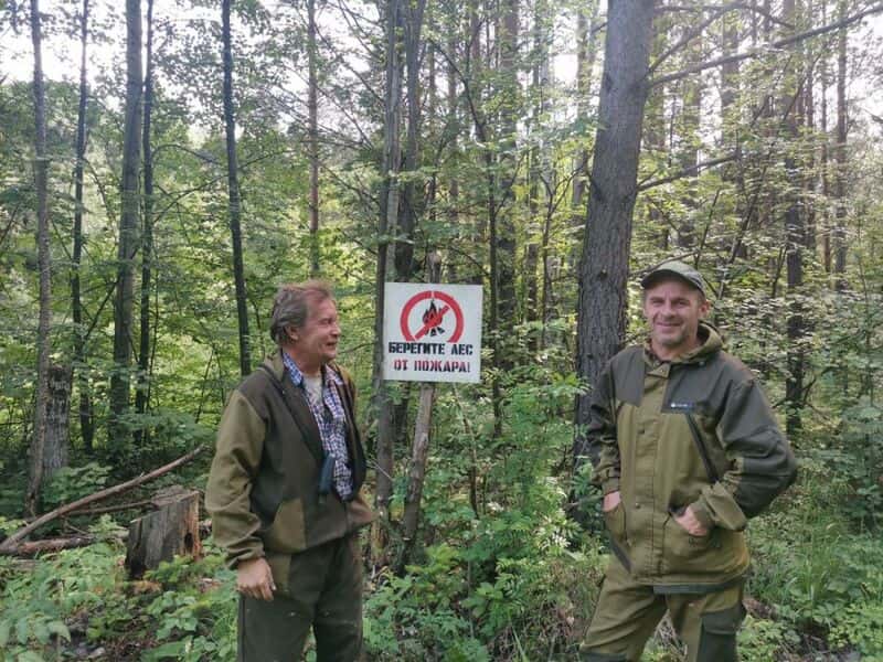 В Свердловской области потушили все лесные пожары 