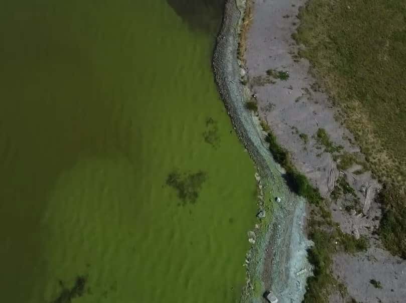 Жители Первоуральска жалуются на зелёную воду в пруду