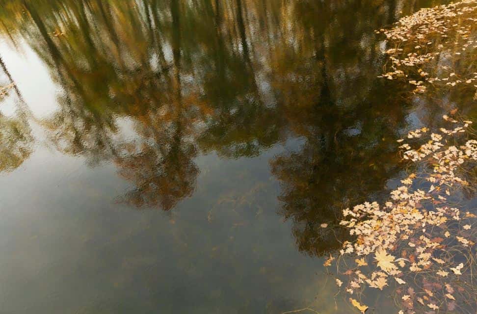 Иван Купала: гадания, купания и костры