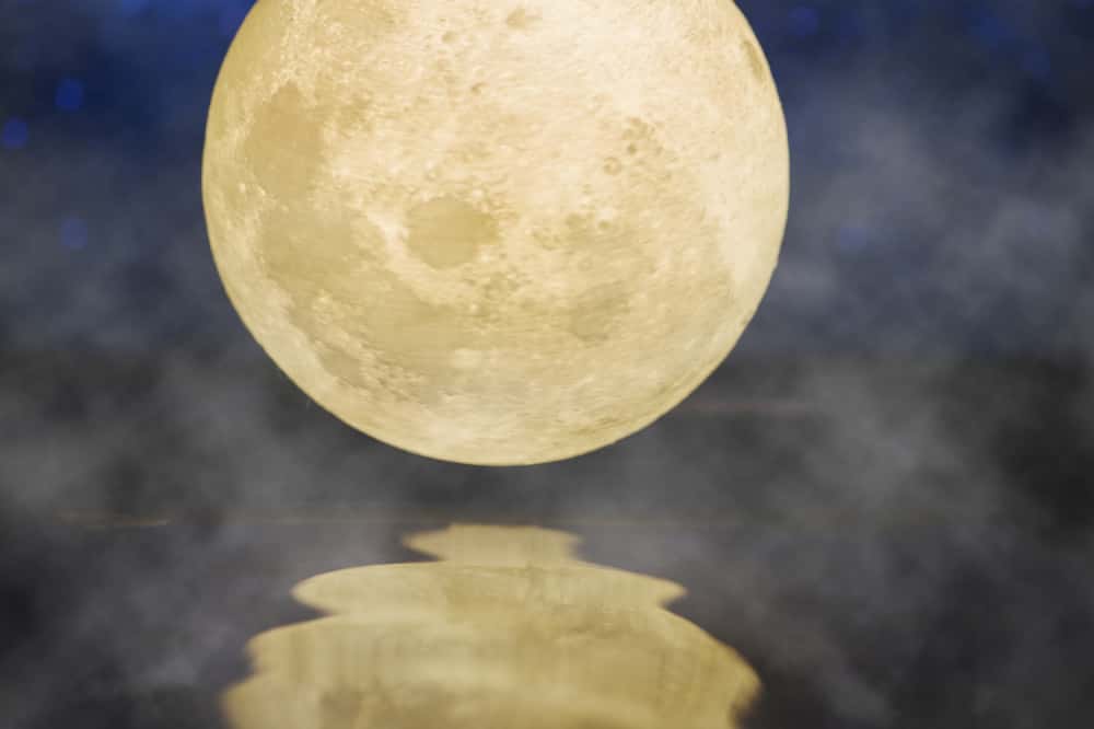 «Оленья луна»: первоуральцев ждет необычная ночь