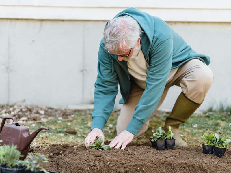 Полиция Первоуральска расследует кражу в СНТ
