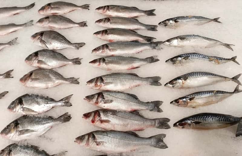 Зафиксирован рост экспорта морепродуктов с предприятий Урала