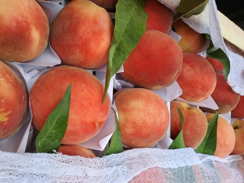 Уральская таможня приняла более 3 тысяч фруктов