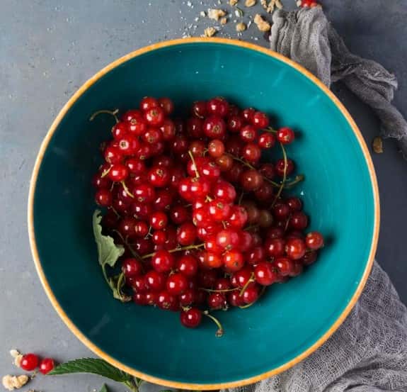 Сок брусники помогает при воспалениях кишечника: новое исследование