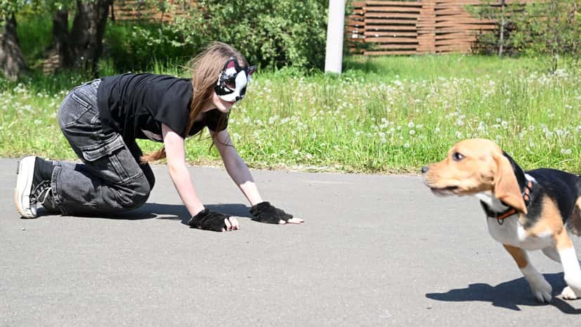 В России предложили запретить квадроберов