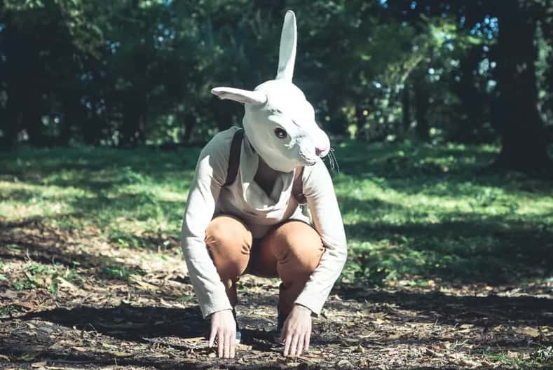 Депутат Бессараб о квадроберах: давайте запретим и феечек, ведь они тоже имеют что-то общее с крыльями стрекоз