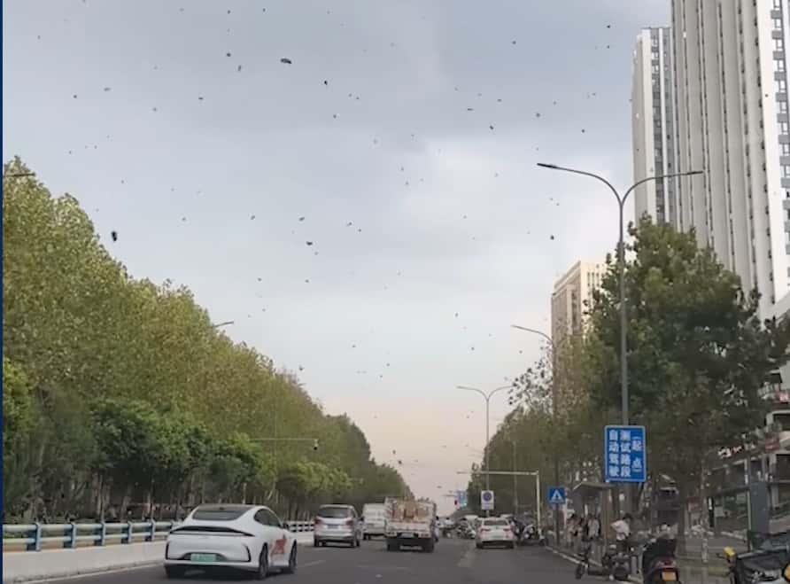 Шторм в Китае разнес трусы тысячи местных жителей