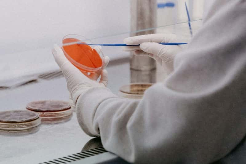 Австралийские ученые научились заживлять любые раны за несколько дней