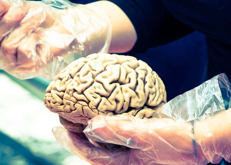 Ученые из Великобритании: последствия COVID-19 могут привести к изменениям в мозге, сопоставимым со старением