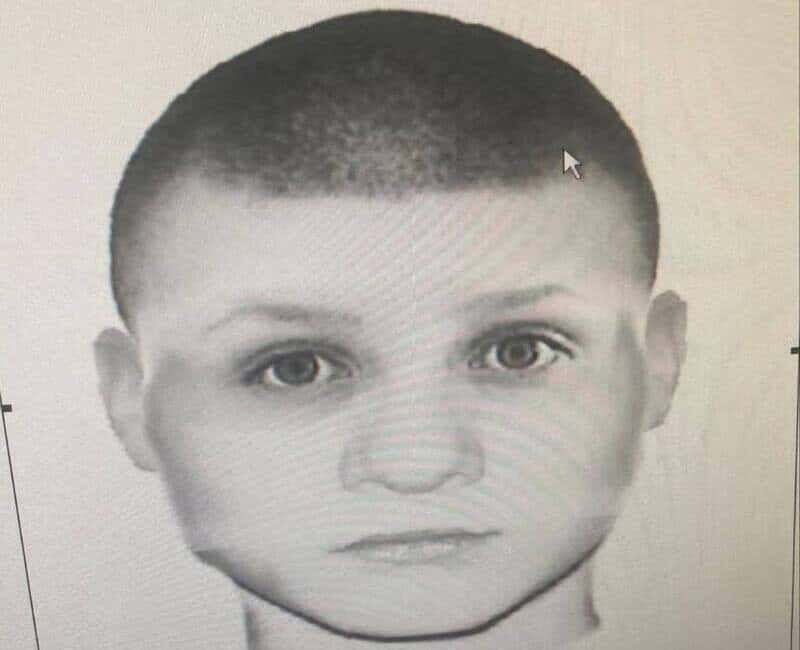 Появился фоторобот вора детенышей кенгурят