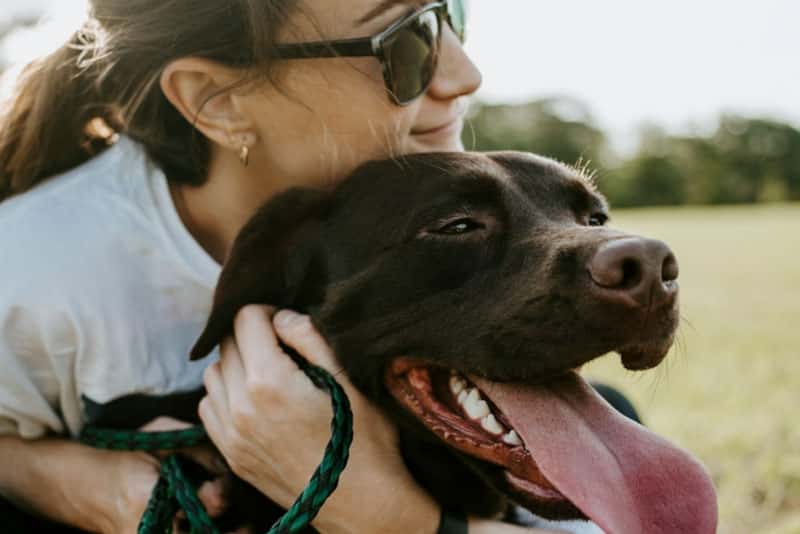 Компания Heel выпустила первый в мире виртуальный собачий поводок