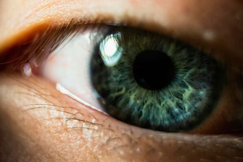 Ученые нашли способ предотвращения дегенерации сетчатки глаза