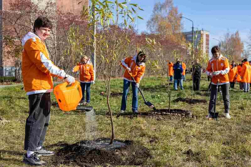 «Зеленая инициатива ТМК»: ПНТЗ высаживает 4,5 тысячи деревьев в Свердловской области
