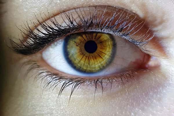 Врач объяснила россиянам, почему необходимо защищать глаза в осенний период