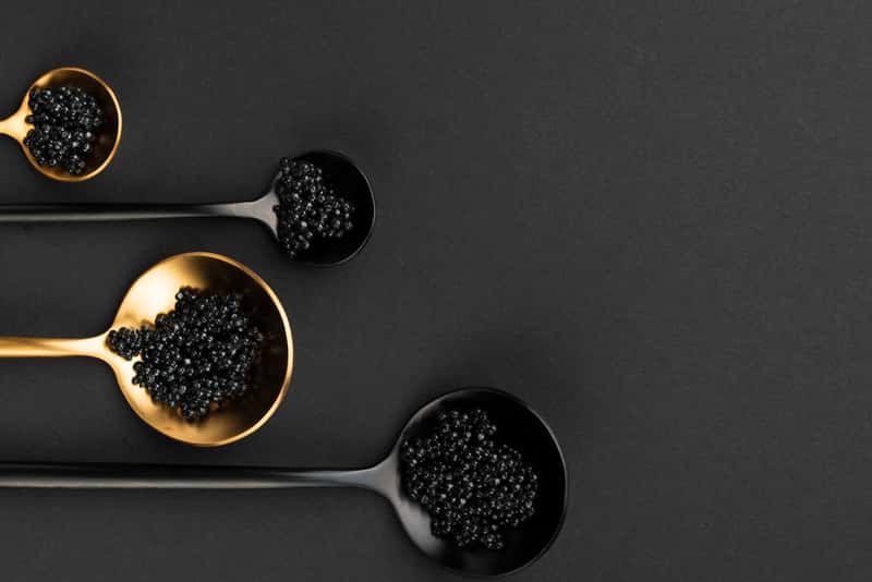 У двух жителей Хабаровска изъяли 400 кг черной икры