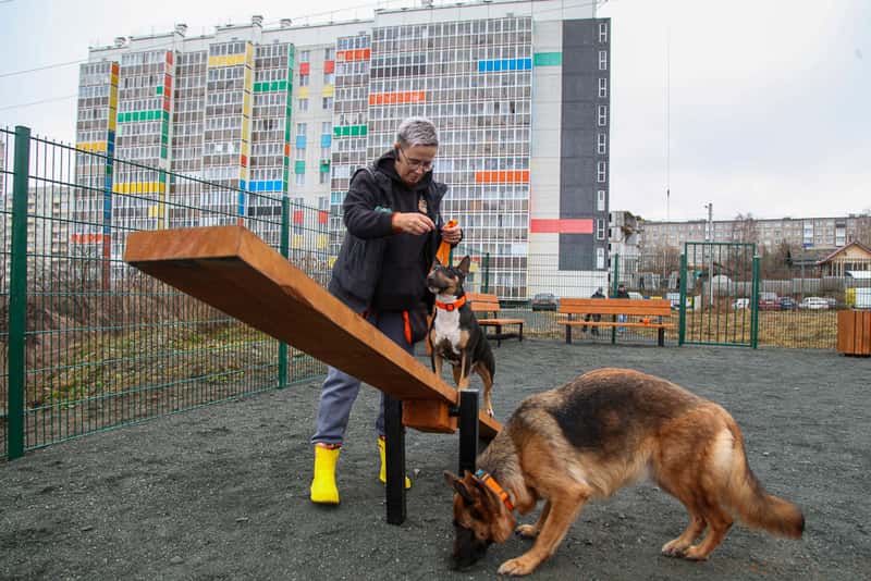 На улицах Емлина и Сакко и Ванцетти в Первоуральске появились собачьи площадки