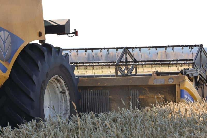 На Урале урожай зерна превысил прошлогодние показатели на 110 тысяч тонн