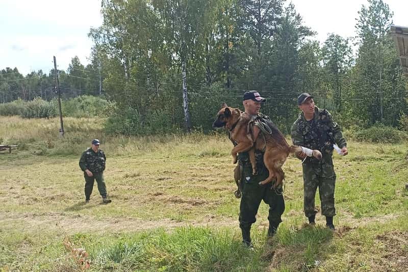Первоуральским старшеклассникам рассказали о работе в уголовно-исправительной системе