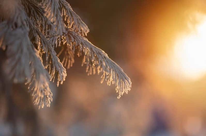 В Свердловской области обещают порывистый ветер