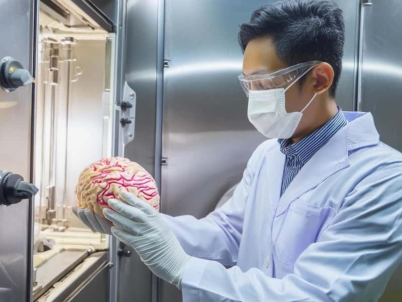 Шведские ученые: плохое состояние сосудов ускоряют старение мозга