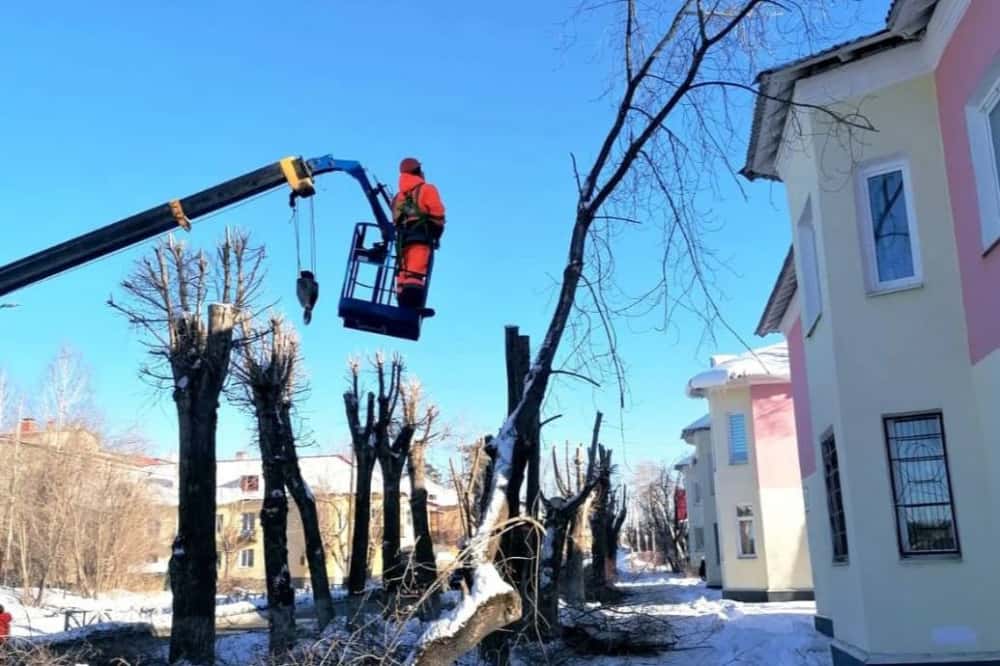 С начала зимы в Первоуральске кронировали более 200 деревьев