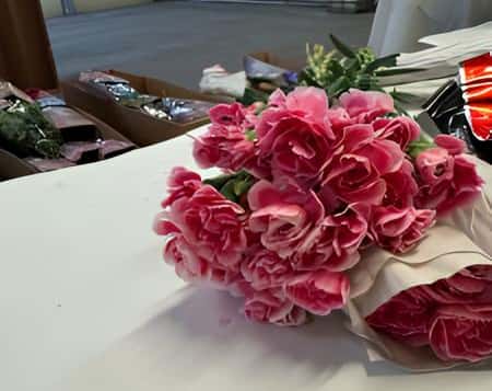 Свердловские таможенники пресекли ввоз 400 гвоздик из Эквадора с карантинным вредителем