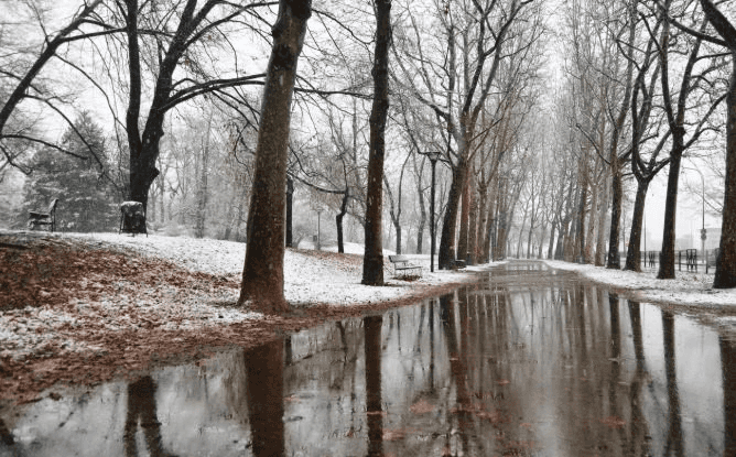 В Первоуральске суббота станет самым теплым днем недели: воздух прогреется до +10°С