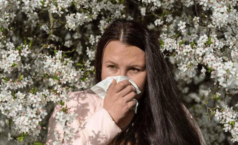 Специалист Пироговского университета дал советы по борьбе с аллергией на пыльцу