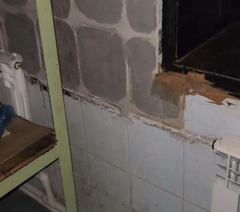 Без дезинфекции и ловушек для грызунов: Россельхознадзор выявил нарушения у свердловского молочного предприятия