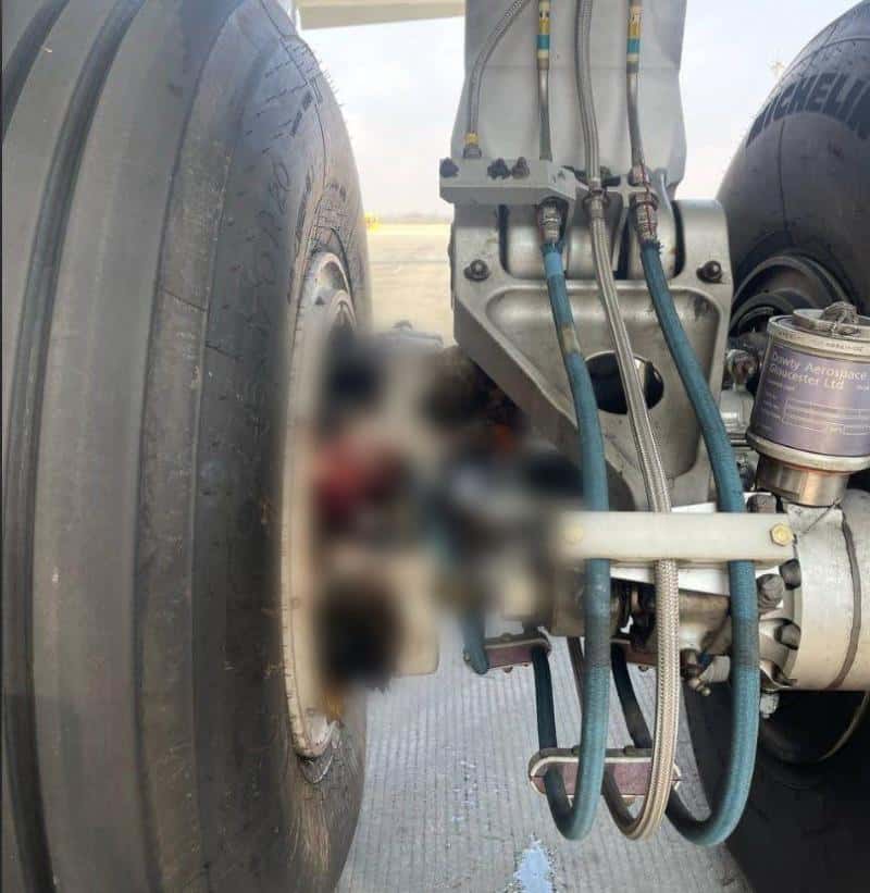 Инцидент в воздухе: птицы стали причиной отсрочки рейса U6-572 из Екатеринбурга во Владивосток