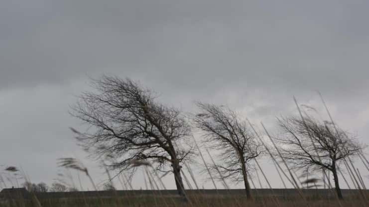 В Первоуральске объявили штормовое предупреждение 5 апреля: ожидаются сильный ветер и осадки  