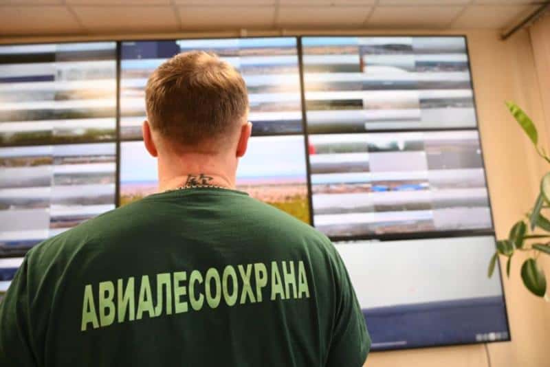 В Свердловской области усилили защиту лесов: 75 новых камер подключили для слежки за пожарной обстановкой  