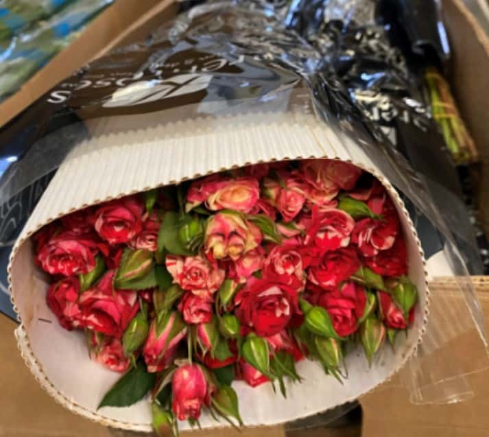 В Свердловской области уничтожили 220 роз из Кении из-за карантинного вредителя