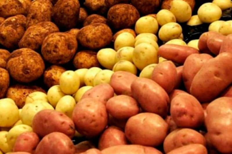 В Свердловскую область ввезли почти 90 тонн импортного картофеля