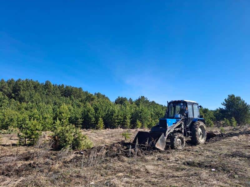 Сотрудники первоуральского лесничества создадут 20 км специальных полос для пожарной безопасности