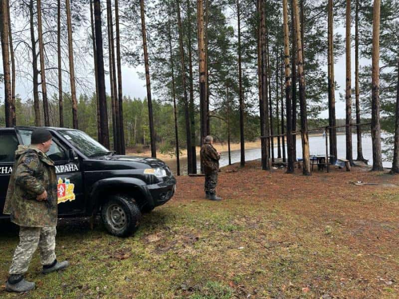 Свердловчане нарушили правила противопожарного режима почти 180 раз за прошлую неделю