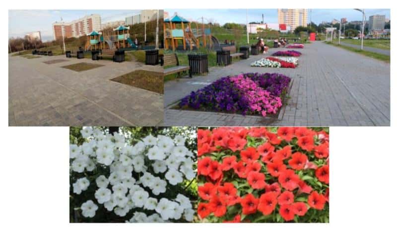 В Первоуральске высадят почти 20 тысяч цветов за 3,9 млн рублей