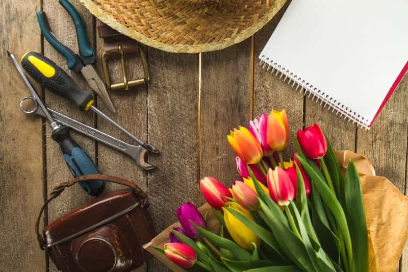 От бомбы в Чикаго до современных выходных: история и эволюция праздника 1 Мая