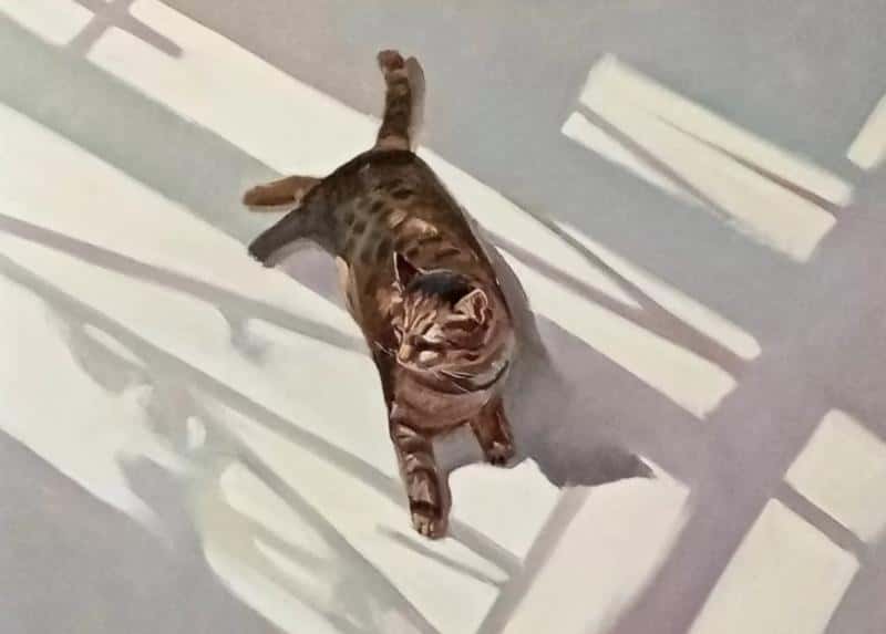 Выставка с котиками и театральные представления: куда можно сходить в Первоуральске 3 и 4 мая