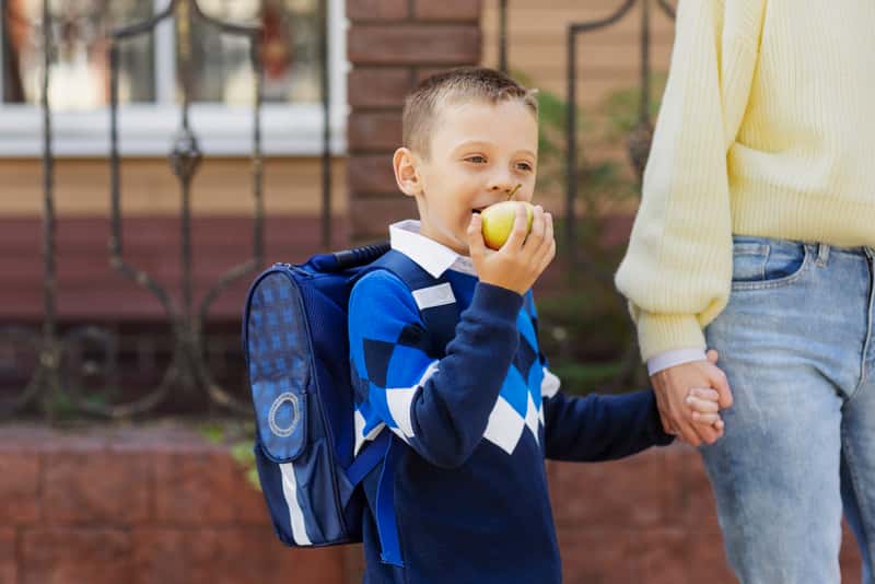 Когда у школьников начнется отдых? Министерство просвещения РФ утвердило график летних каникул