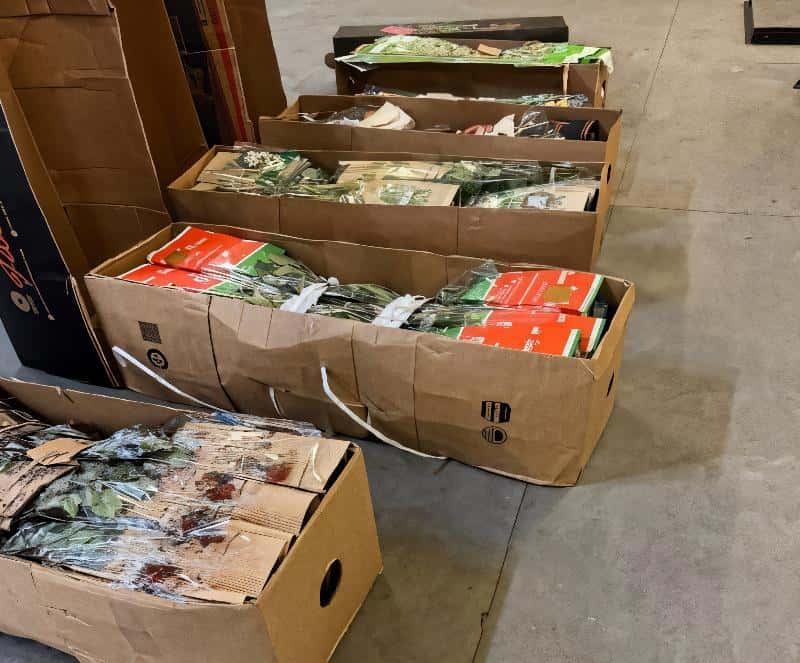 В Свердловскую область пытались провезти зараженные цветы из Эквадора: 400 срезов были уничтожены