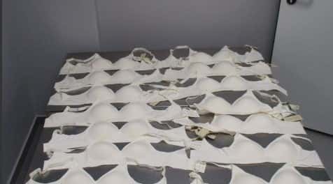 200 бюстгальтеров для родственницы: на Урале задержали иностранца с 17 кг женского белья